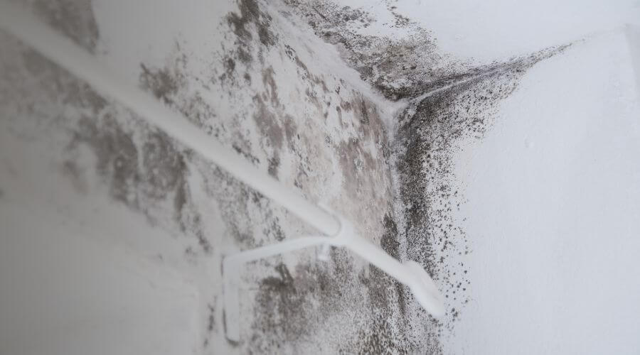 Why choose RenewWay Pros for water damage restoration in Bend